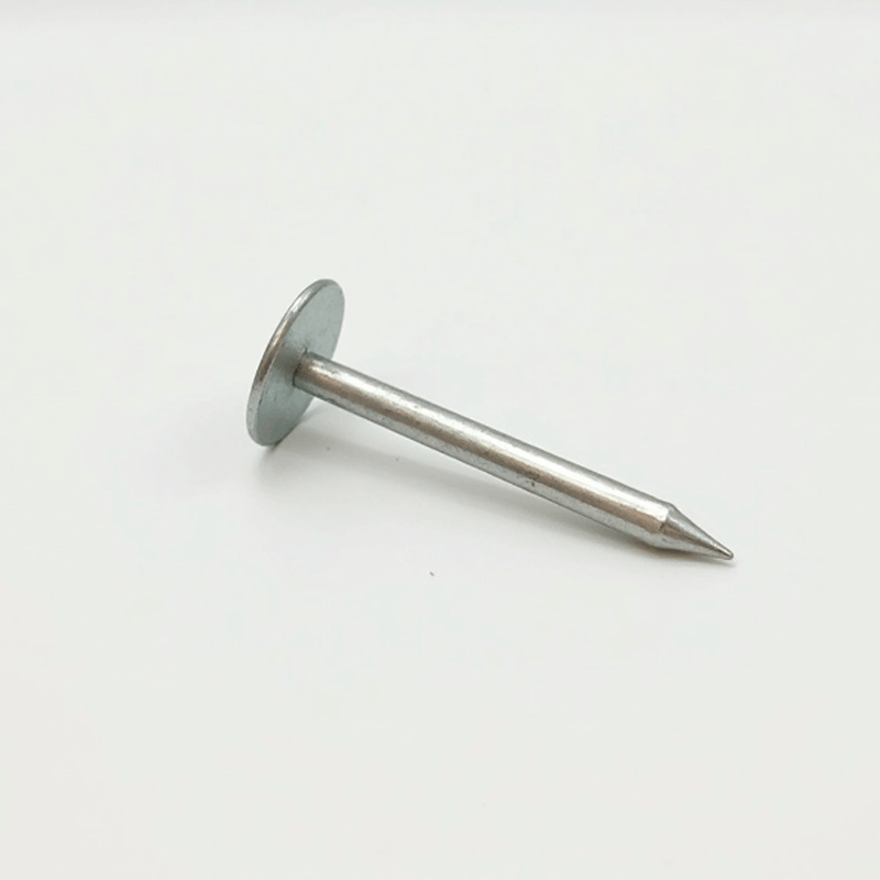 [06818] 06818 BOAT NAIL GALVANISED 2 1/2" @ KG